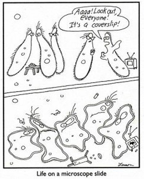 biology cartoon far side