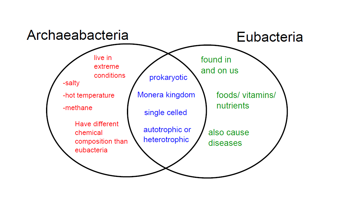 Archaebacteria Vs Eubacteria Venn Diagram